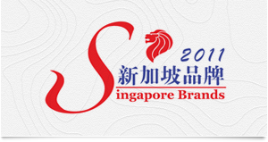 bim manpower consultancy and bim services singapore
